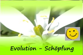 0-EVOLUTION-CREATION-Logo
