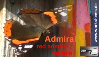 01-Admiral-logo