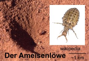 Ameisenlöwe-Logo