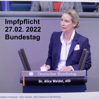 Impfpflicht-Bundestag