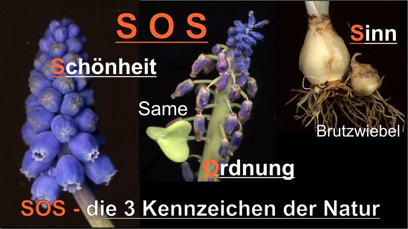 SOS-Die drei Kennzeichen der Natur